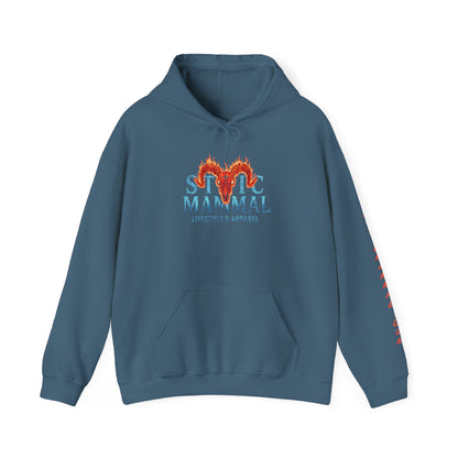 Fire and Ice Stoic Mammal Kanji Style Hoodie