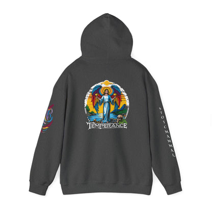 Temperance Angelic Back Sleeved And Front Designed Hooded Sweatshirt