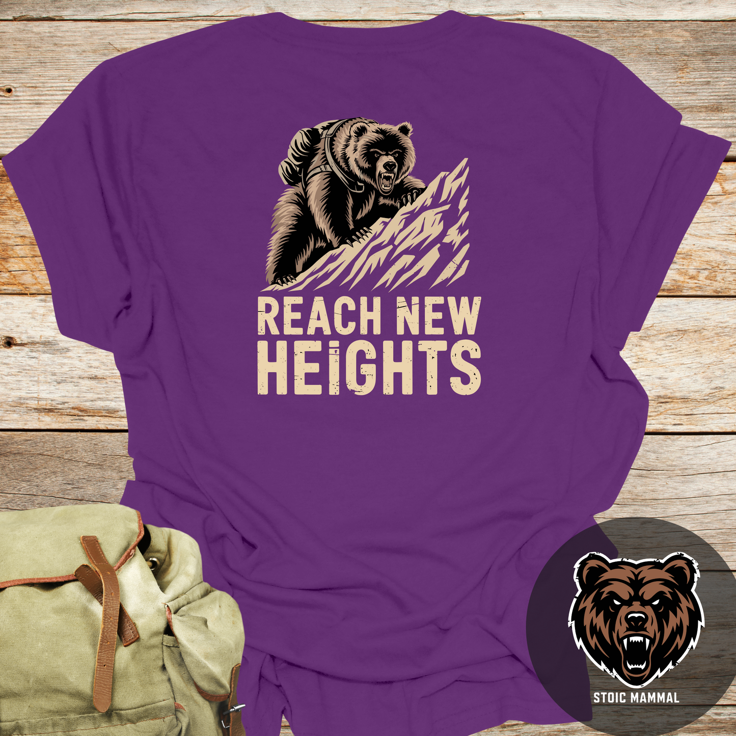 Stoic Bear "Reach New Heights" Unisex Ultra Cotton Tee